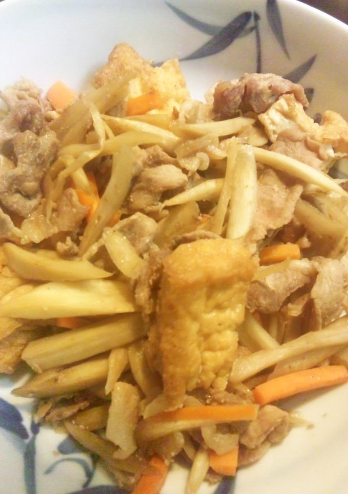 ☆簡単！ごぼう×豚肉×厚揚げのきんぴら風-レシピのメイン写真