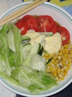 暑いときのサラダうどん-レシピのメイン写真