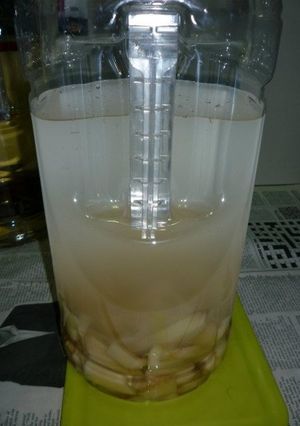 自家製生姜酒(辛口版)・初号-レシピのメイン写真
