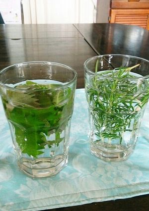 ⅲハーブウォーター-レシピのメイン写真