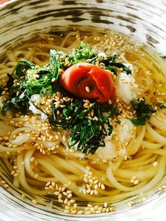 二日酔いに!梅おろし冷やしうどん-レシピのメイン写真