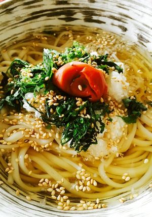 二日酔いに！梅おろし冷やしうどん-レシピのメイン写真