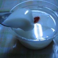 基本からアレンジまで！思わずつくりたくなる「杏仁豆腐 豆腐」の