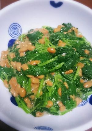 モロヘイヤと納豆を和えてみた-レシピのメイン写真