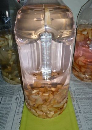 自家製生姜酒(辛口版)・弎号-レシピのメイン写真
