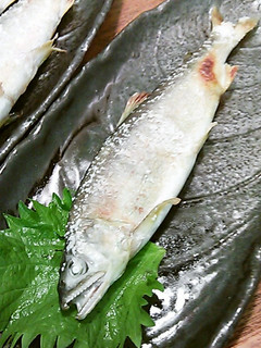 鮎の塩焼き-レシピのメイン写真