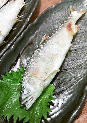 鮎の塩焼き-レシピのメイン写真