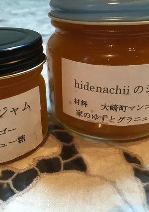 hidenachiiマンゴージャム作り方-レシピのメイン写真