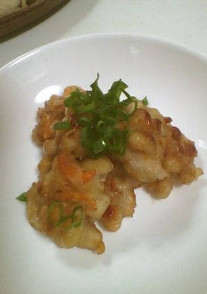 大豆のかき揚げ風-レシピのメイン写真