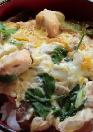 電子レンジで作る親子丼-レシピのメイン写真
