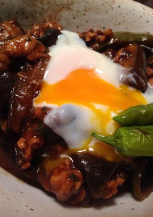 麻婆茄子丼-レシピのメイン写真