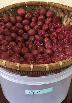 ブランデー梅干し！この色✨-レシピのメイン写真