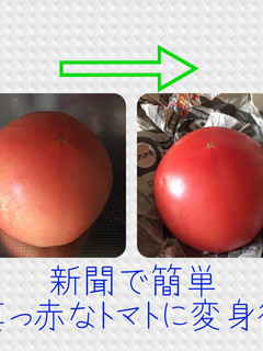 色の悪いトマトを真っ赤なトマトにする方法-レシピのメイン写真