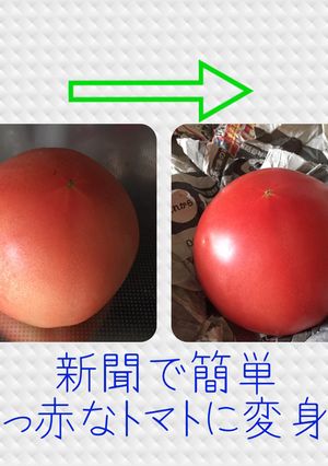 色の悪いトマトを真っ赤なトマトにする方法-レシピのメイン写真