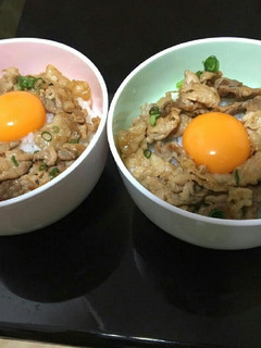 夏にはスタミナ丼-レシピのメイン写真