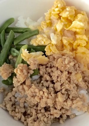 かんたん三色丼-レシピのメイン写真