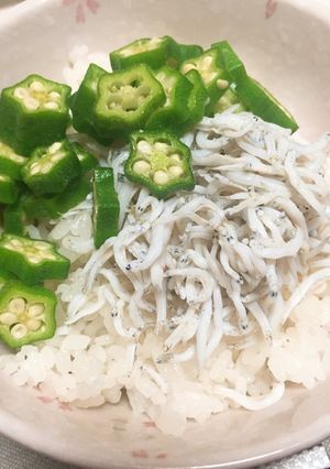 おくらとしらすご飯★だし醤油が決めて！-レシピのメイン写真