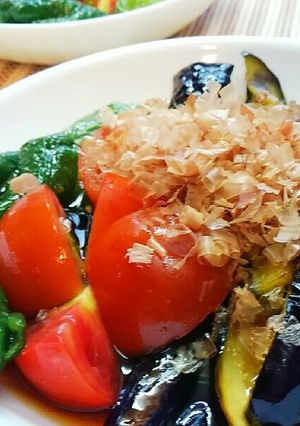 茄子ピーマン☆夏野菜の揚げびたし-レシピのメイン写真