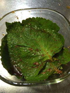 エゴマの葉の醤油漬け-レシピのメイン写真