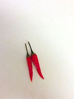 生唐辛子の保存法-レシピのメイン写真