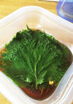大葉のだし醤油漬け-レシピのメイン写真