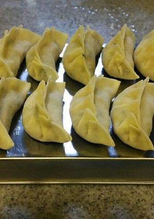 自家製餃子の冷凍方法-レシピのメイン写真