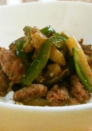 犬ご飯　牛肉と夏野菜のスタミナ丼-レシピのメイン写真