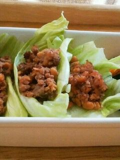 犬ご飯 納豆とミンチのレタス包み-レシピのメイン写真