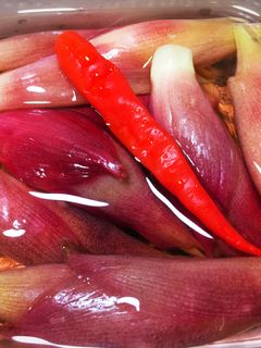 簡単☆ミョウガの甘酢漬け-レシピのメイン写真