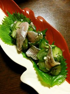 鯵と胡瓜の酢の物-レシピのメイン写真