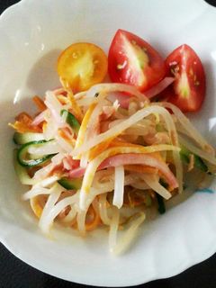 もやしの冷し中華風サラダ-レシピのメイン写真