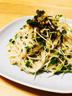 素麺とかいわれ大根のお茶漬けあえ-レシピのメイン写真