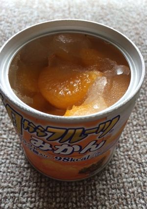 冷凍みかん缶-レシピのメイン写真