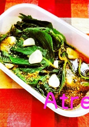 夏にスタミナ！えごまの葉のマリネ-レシピのメイン写真