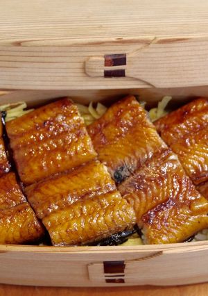 うな丼お弁当バージョン-レシピのメイン写真