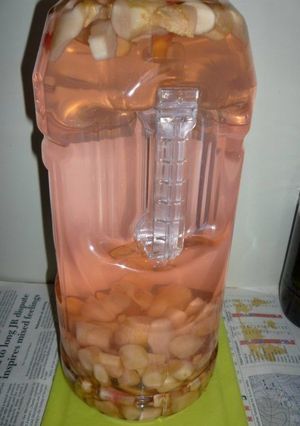 自家製生姜酒(辛口版)・最終版-レシピのメイン写真