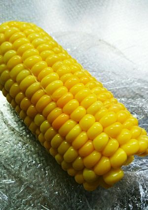 甘くてぷっくりツヤツヤとうもろこし-レシピのメイン写真