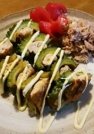 ピーマンの肉詰めならぬゴーヤのささみ詰め-レシピのメイン写真
