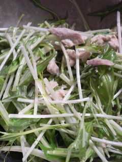 水菜とツナのマヨサラダ-レシピのメイン写真