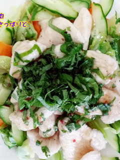 夏野菜と鶏胸肉のぷるるん食感でさっぱりと-レシピのメイン写真