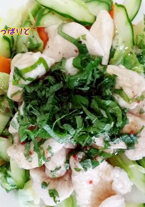 夏野菜と鶏胸肉のぷるるん食感でさっぱりと-レシピのメイン写真