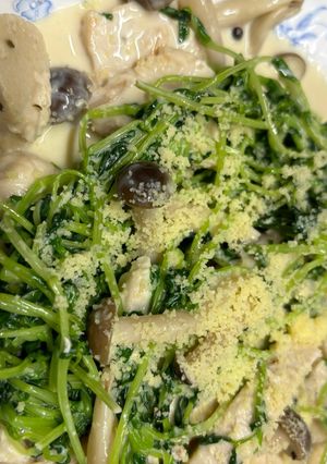 鶏胸肉と豆苗のクリーム煮-レシピのメイン写真