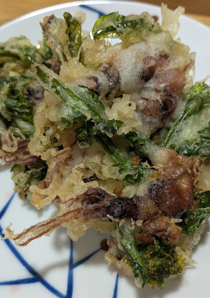 ホタルイカと菜の花のかき揚げ-レシピのメイン写真