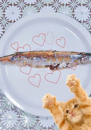 秋刀魚の塩焼き-レシピのメイン写真