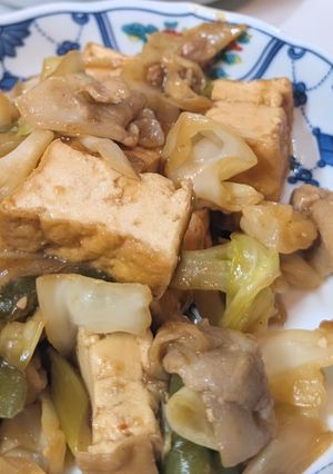 簡単！厚揚げ入り回鍋肉-レシピのメイン写真