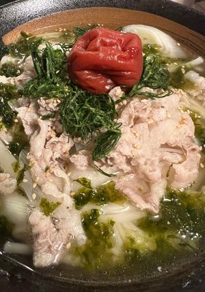 能登出汁の梅豚バラうどん-レシピのメイン写真