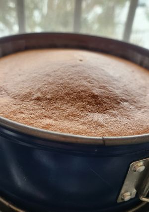 米粉7：小麦粉3の共立てスポンジケーキ-レシピのメイン写真