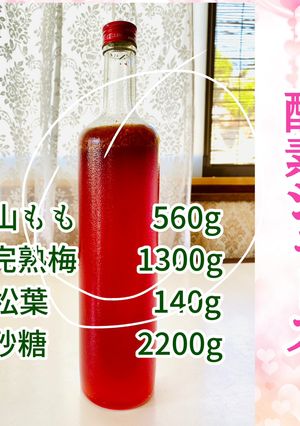 山ももと梅と松葉の酵素ジュース-レシピのメイン写真