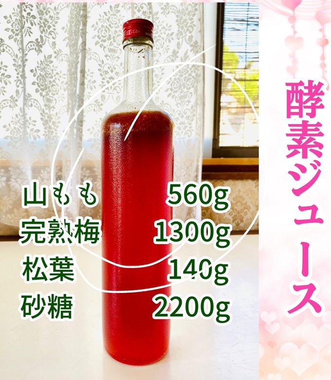 松葉ジュース Drinkable Forest Bathing!] We'll tell you how to make