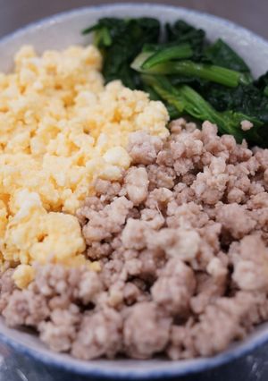NEW!三色そぼろ丼-レシピのメイン写真